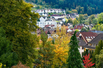 Autumn landscape about the german city Schramberg in black forest
