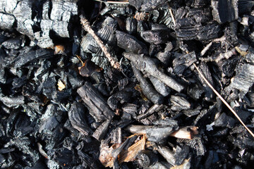 Burnt out bonfire campfire. Bombard or barbecue fire ashes close up. Burn wood ash, abstract fireplace without flame