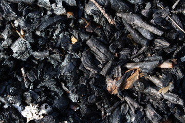 Burnt out bonfire campfire. Bombard or barbecue fire ashes close up. Burn wood ash, abstract fireplace without flame