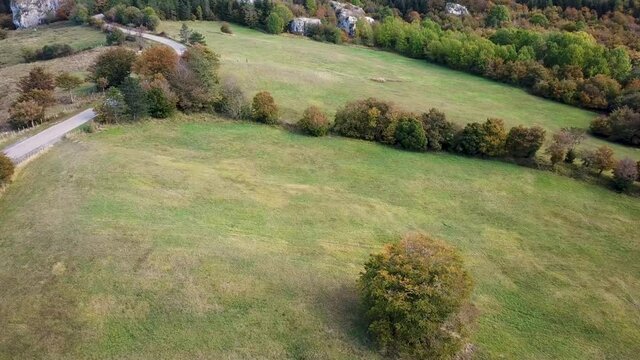 In volo sopra il bosco autunnale