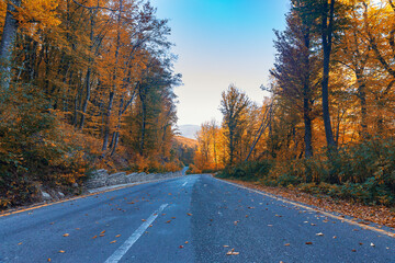 Mountain road through the autumn forest