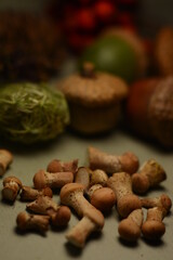 Little autumn mushrooms on a blurred background of acorns