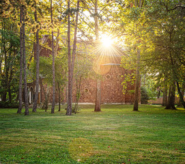 Fototapety na wymiar - Fototapeta24.pl