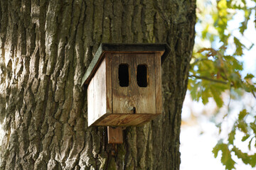 bird house on tree