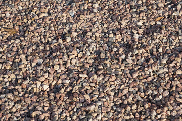 Pea gravel as a background.
