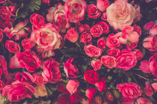 valentine day background. retro love roses flowers bouquet close up © pushish images