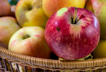 red apple in basket