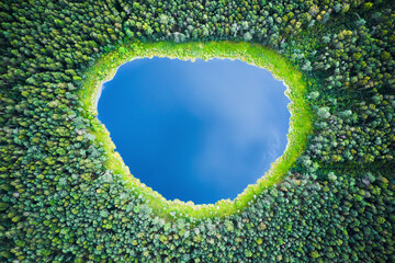 Summer landscape with lake © alexugalek