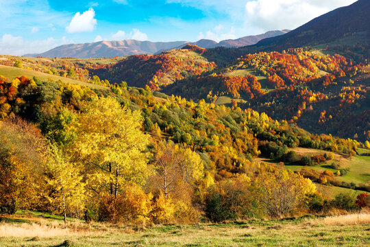 beautiful mountain landscape on a sunny day. wonderful countryside scenery in autumn season. rural fields and trees in colorful foliage on the distant rolling hills