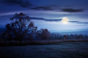 Afwasbaar Fotobehang Volle maan gorgeous countryside at dawn in autumn at night. trees in colorful foliage on the grassy field in full moon light. mountains in the distance