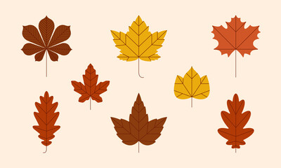 Autumn leaves set on an off-white background. Vector illustration.