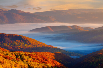 Fototapeta premium misty sunrise in mountains. wonderful autumn weather. beautiful nature scenery observed from the top of a hill. trees in colorful fall foliage. fog glowing in the distant valley