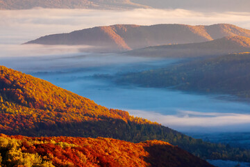 cold morning fog with golden hot sunrise in the valley of Carpathian mountain range. green grass and trees with colorful foliage on the hillside meadow lit by first rays of sun