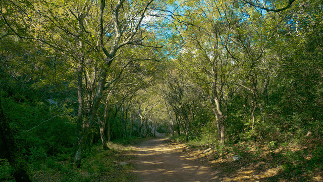 Gorges de Regalon
