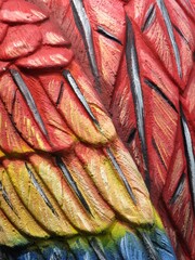 Fototapeta premium tropical bird feathers