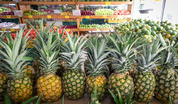 Image of harvested pineapples displayed, ready to sell