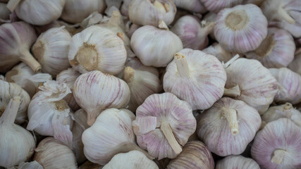 Image of garlic harvested and ready to sell
