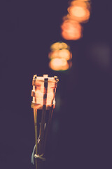 Retro edison light bulb decor