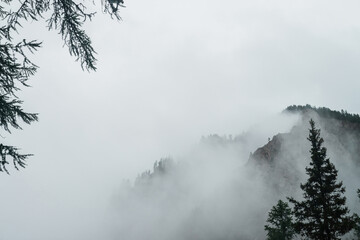 Ghostly view through branches and dense fog to beautiful rockies. Low clouds among huge rocky mountains with trees. Alpine atmospheric landscape to big cliff in cloudy sky. Minimalist highland scenery