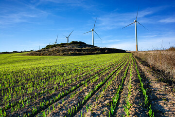 Windmills between earth and sky