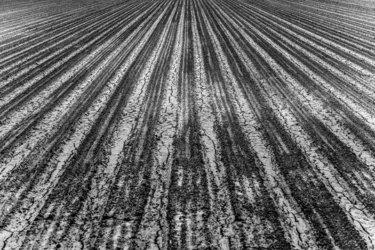 Campo en la huerta