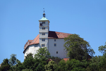 Fototapeta na wymiar Schloss Kaltenstein in Vaihingen an der Enz