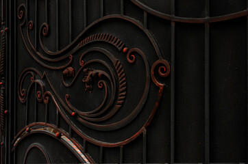 Beautiful finishing of metal doors with forged elements in dark colors. Beauty and protection