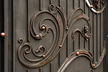 Beautiful abstract forged elements of modern metal gates