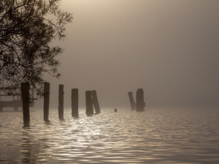 some different wooden poles are standing in the water of a lake in fog at sunrise - Powered by Adobe