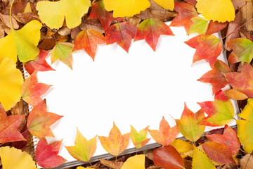 落ち葉のフレーム