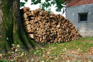 Pile of chopped fire wood prepared for winter