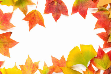 落ち葉のフレーム