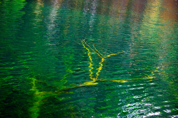Abstract water natural details in Plitvice National Park, Croatia, Europe