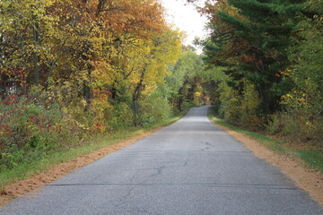 road in autumn