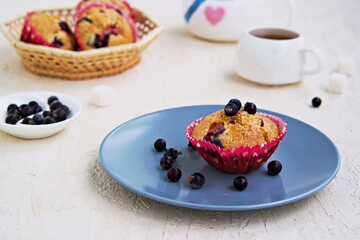 Muffins with black currants on a blue plate on a light concrete background. American cuisine. Copyspace.
