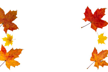 Frame made of autumn leaves orange and yellow and different types on the sides on a white background.