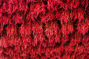 peppers drying outside as traditional