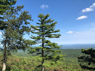 Obraz premium View from top of the mountain on hiking trail at Minnewaska State Park, NY