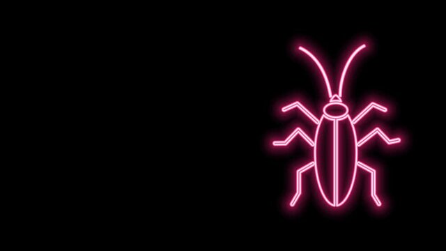 Glowing neon line Cockroach icon isolated on black background. 4K Video motion graphic animation