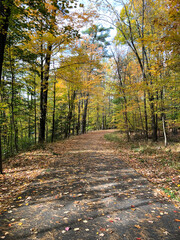 Walking path in Wilber Park in Oneonta, Upstate New York. Autumn.   