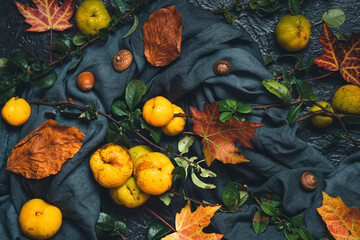Autumn still life with quince fruits, acorns and dry fall leaves on dark fabric over black table....
