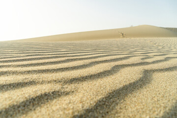 Naklejka premium Sand dunes in the wind at Patara beach, Antalya province, Turkey