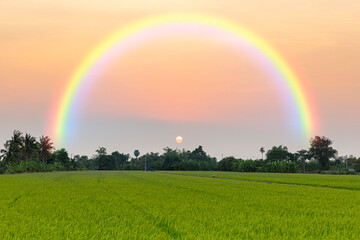 beautiful sky and rainbow background