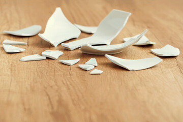 Broken Plate, Splinters, Fragments