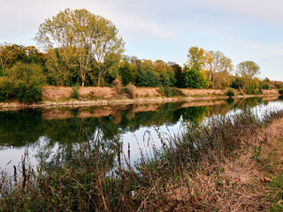 Fototapeta premium river in the park