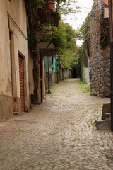 Fototapeta na wymiar classic alley paved with the pavement of an Italian alpine village