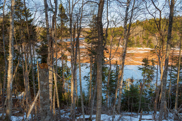 Trees next to a river in an early spring landscape in Strathgartney Provincial Park, Prince Edward Island, Canada