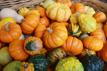 Pumpkins on display at a farmers market