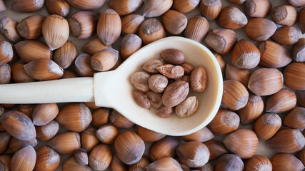 Wooden handmade  spoon with peeled hazelnuts on whole nuts background. Rustic lifestyle 