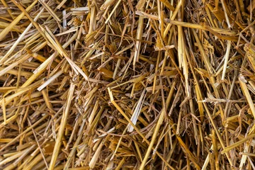 Fotobehang Extreem close up of a bale of hay © David Gales